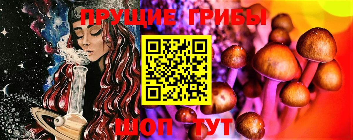 Псилоцибиновые грибы мицелий Югорск